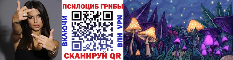 Псилоцибиновые грибы Psilocybe  продажа наркотиков  Ясногорск 